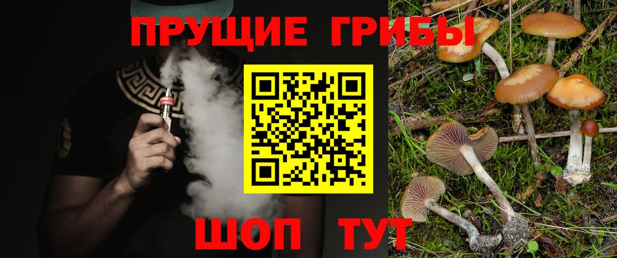 Галлюциногенные грибы Cubensis Краснодар